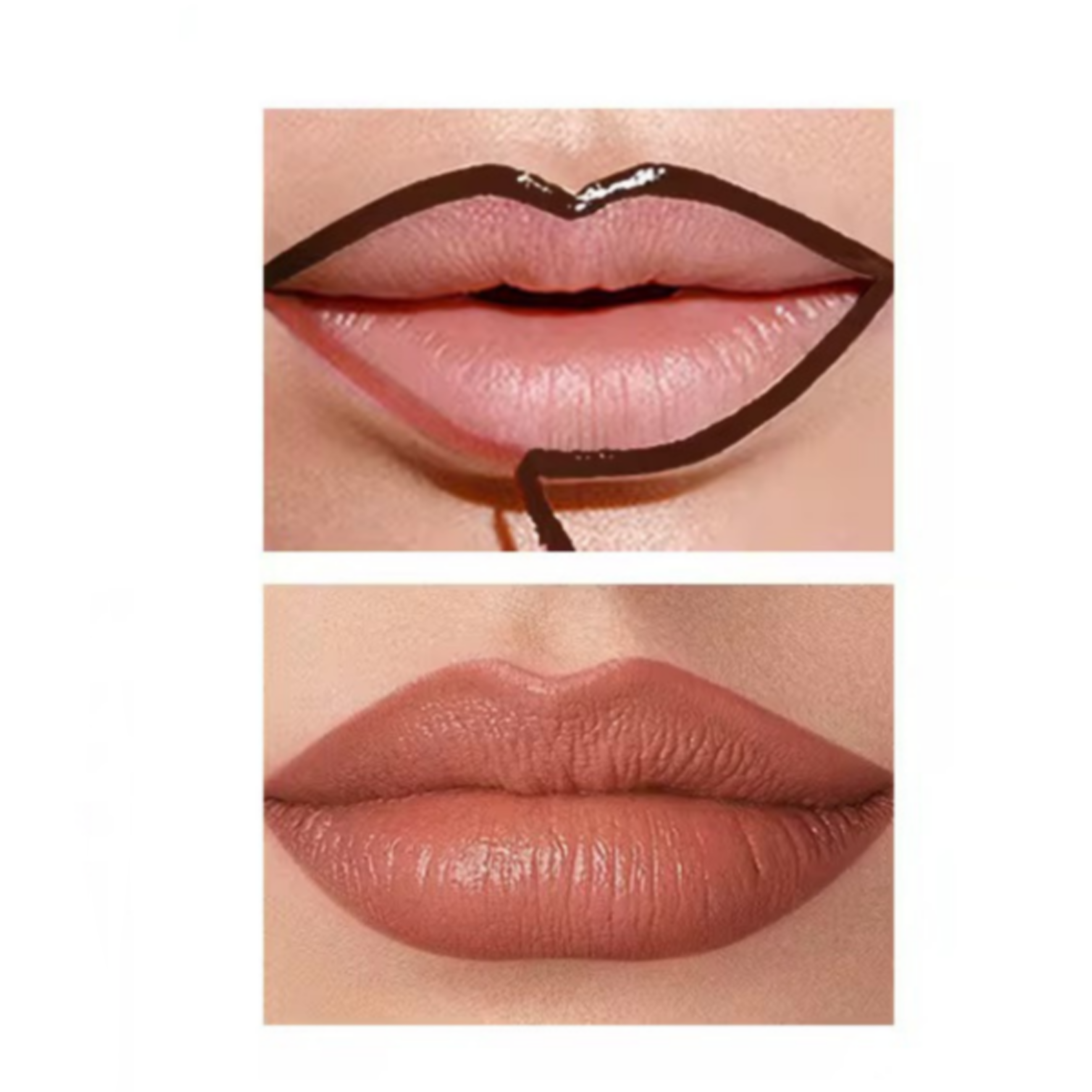 Mocha Rose