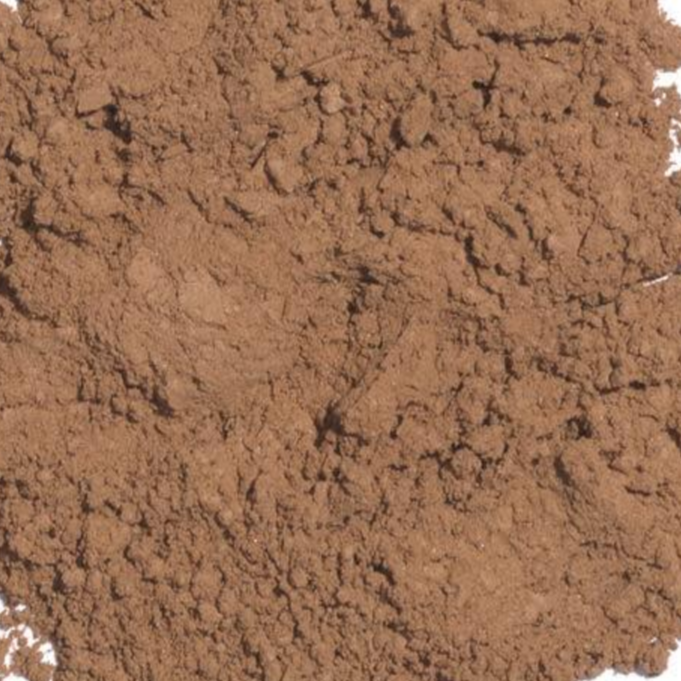 Cocoa